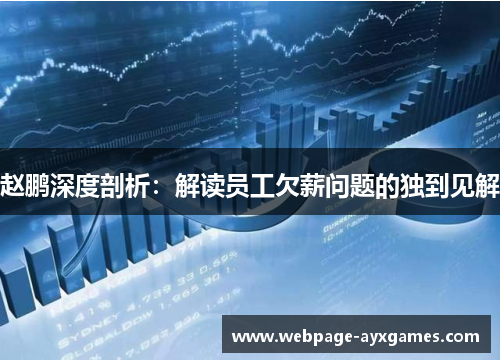 赵鹏深度剖析:解读员工欠薪问题的独到见解 赵鹏深度剖析:解读员工欠薪问题的独到见解