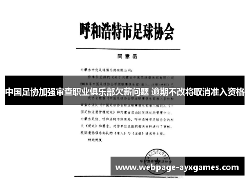 中国足协加强审查职业俱乐部欠薪问题 逾期不改将取消准入资格